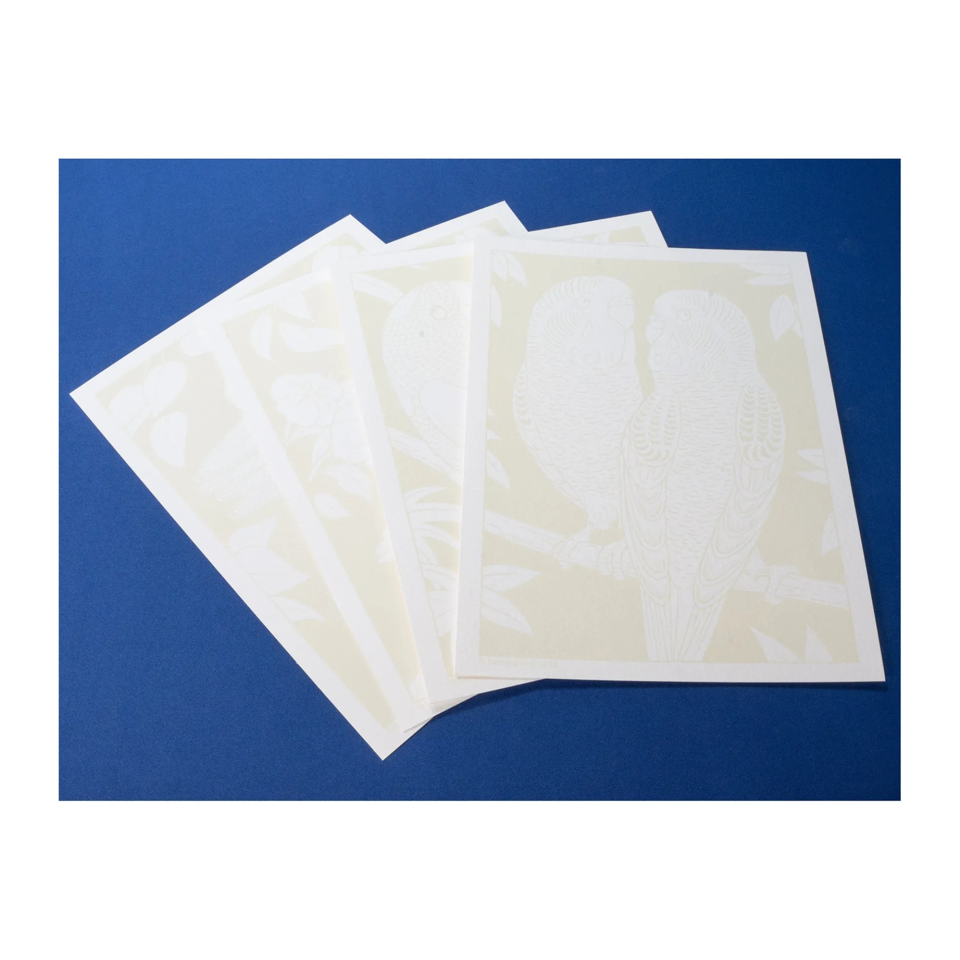 Aquarellum Junior Parrots Watercolor Art Kit