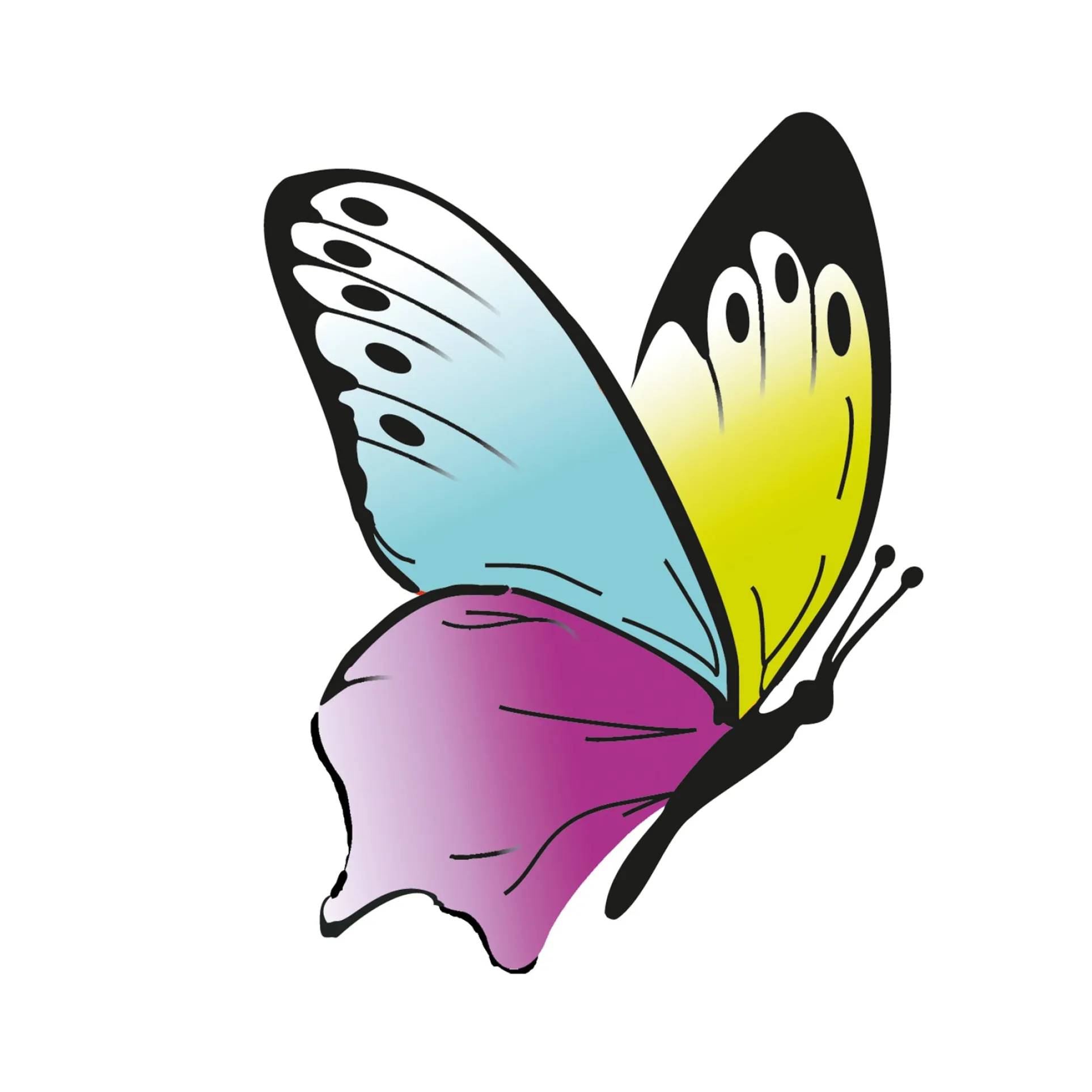 Beleduc Betty Fly Interactive Color Recognition Game