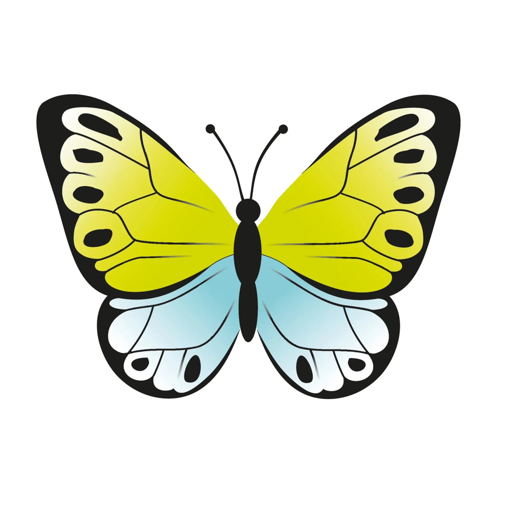 Beleduc Betty Fly Interactive Color Recognition Game