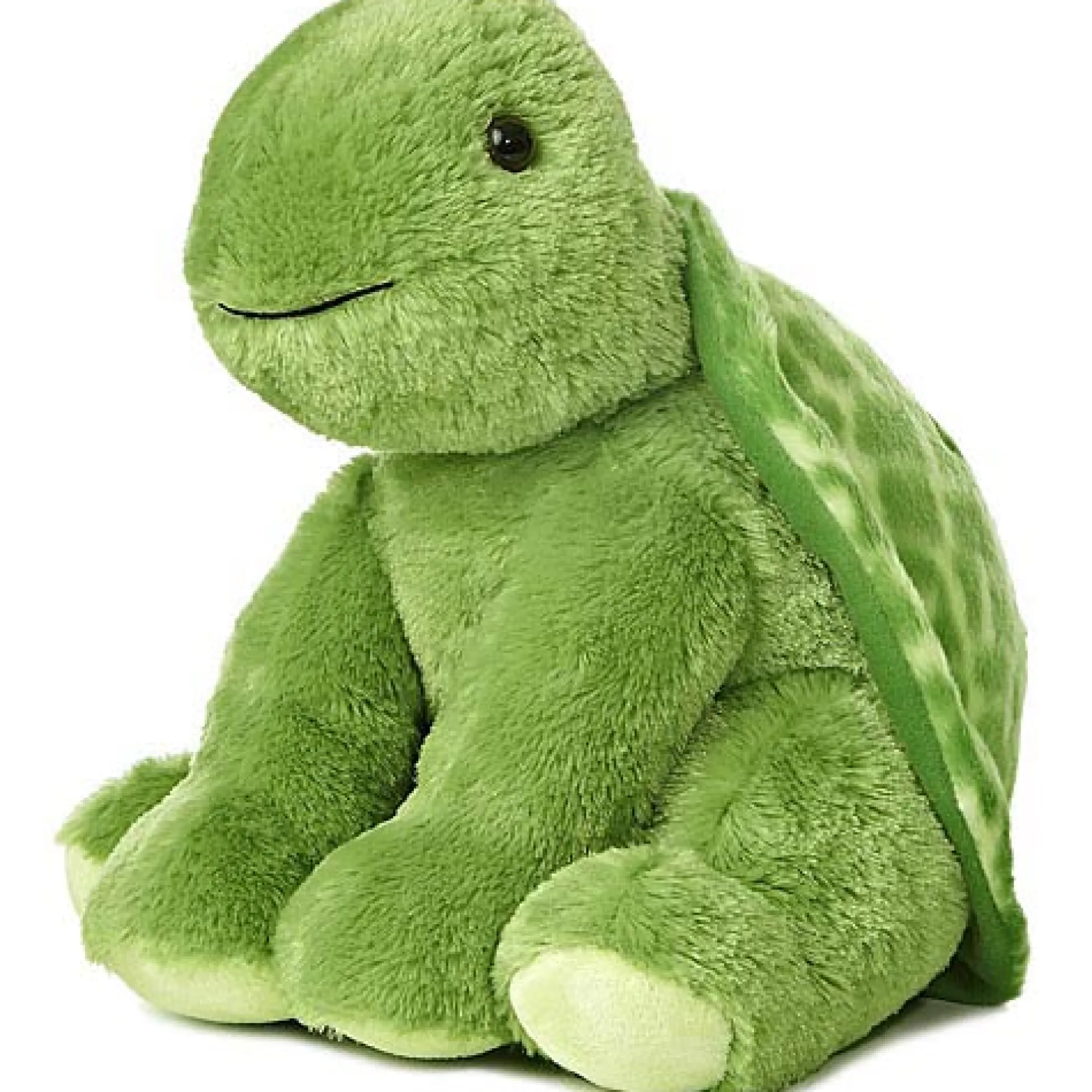 Turtle Promo (2025) Amusing Shell Explorer