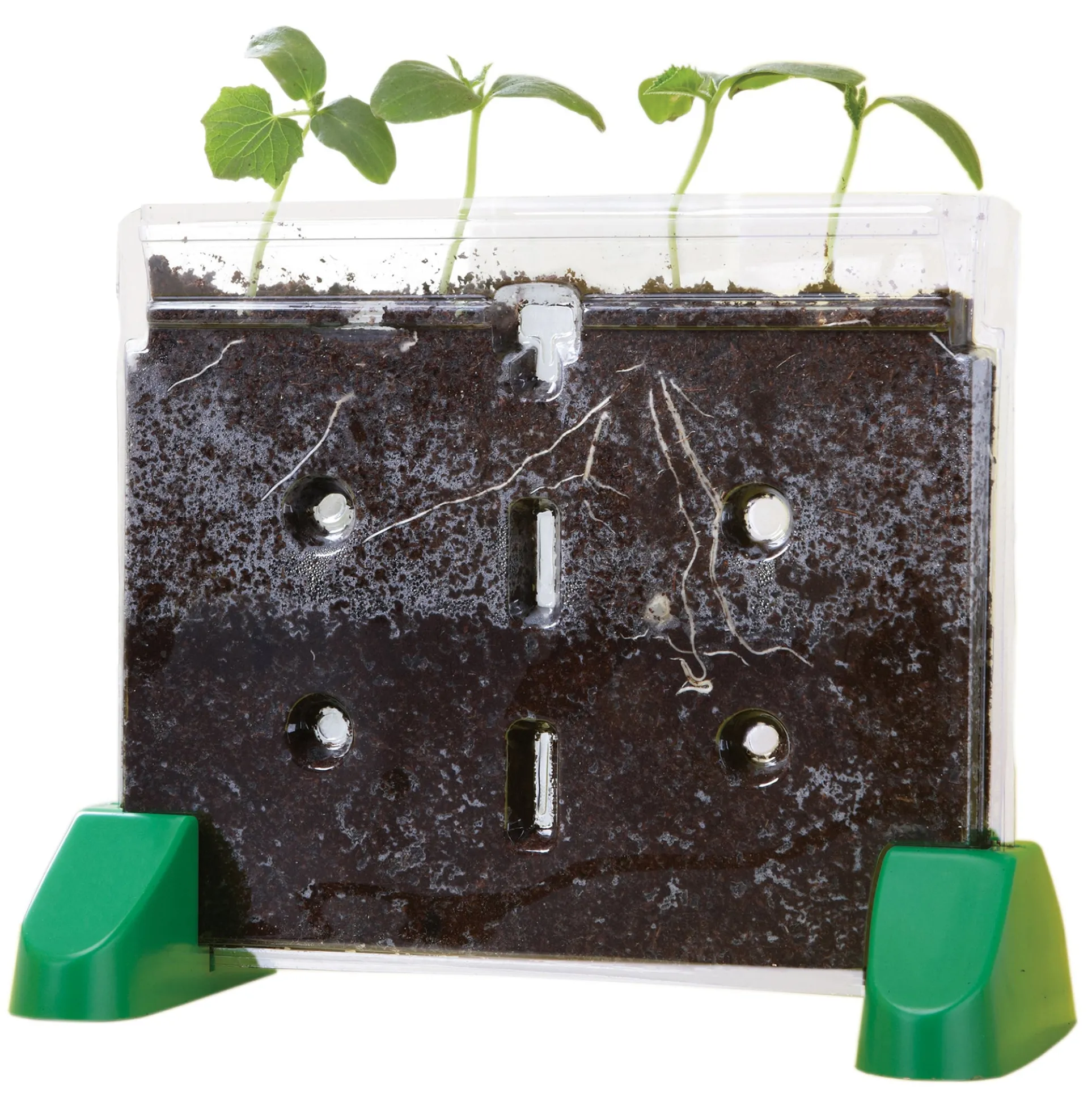 Educational Insights Sprout & Grow Window Plant Science Kit