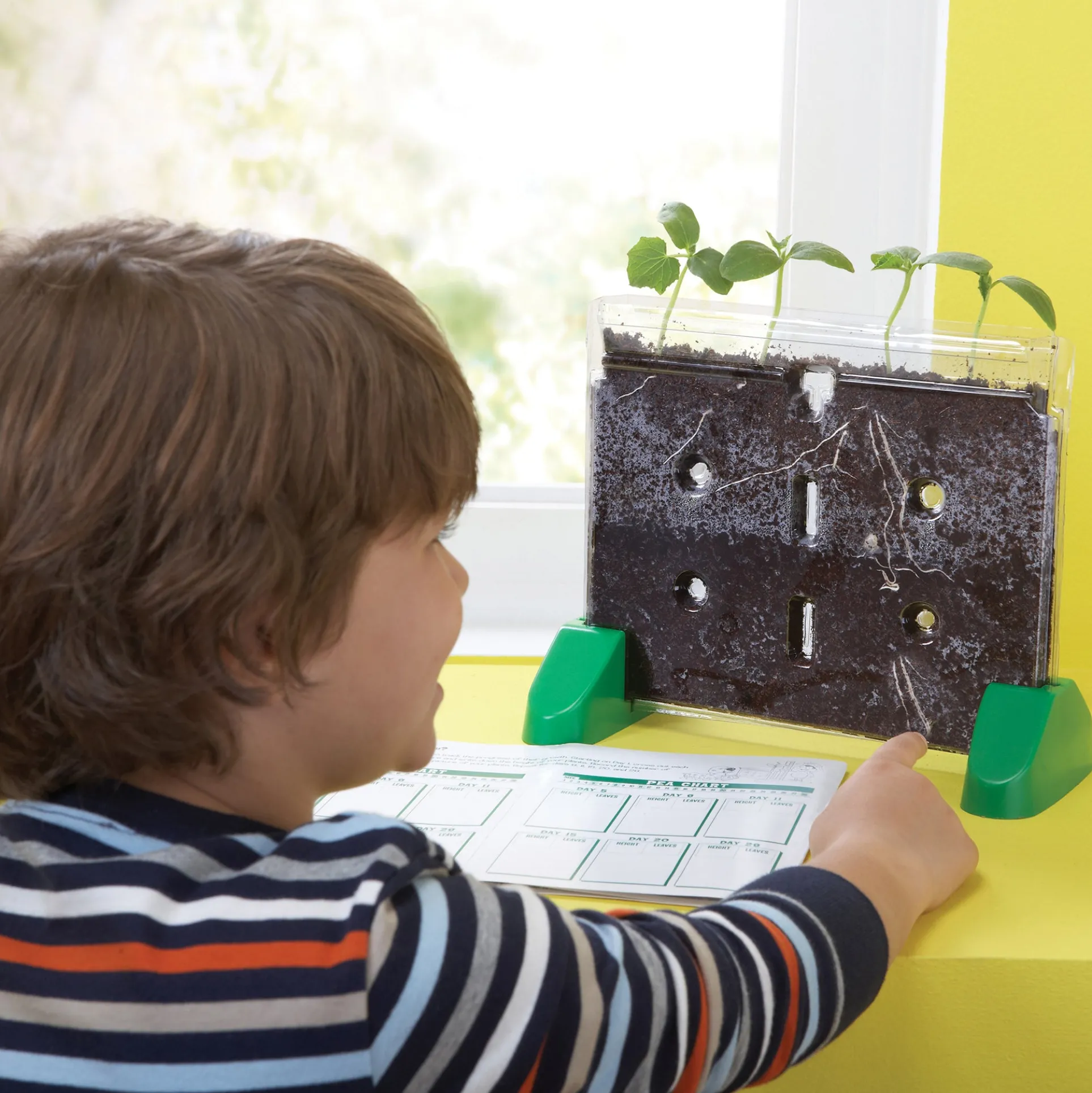 Educational Insights Sprout & Grow Window Plant Science Kit