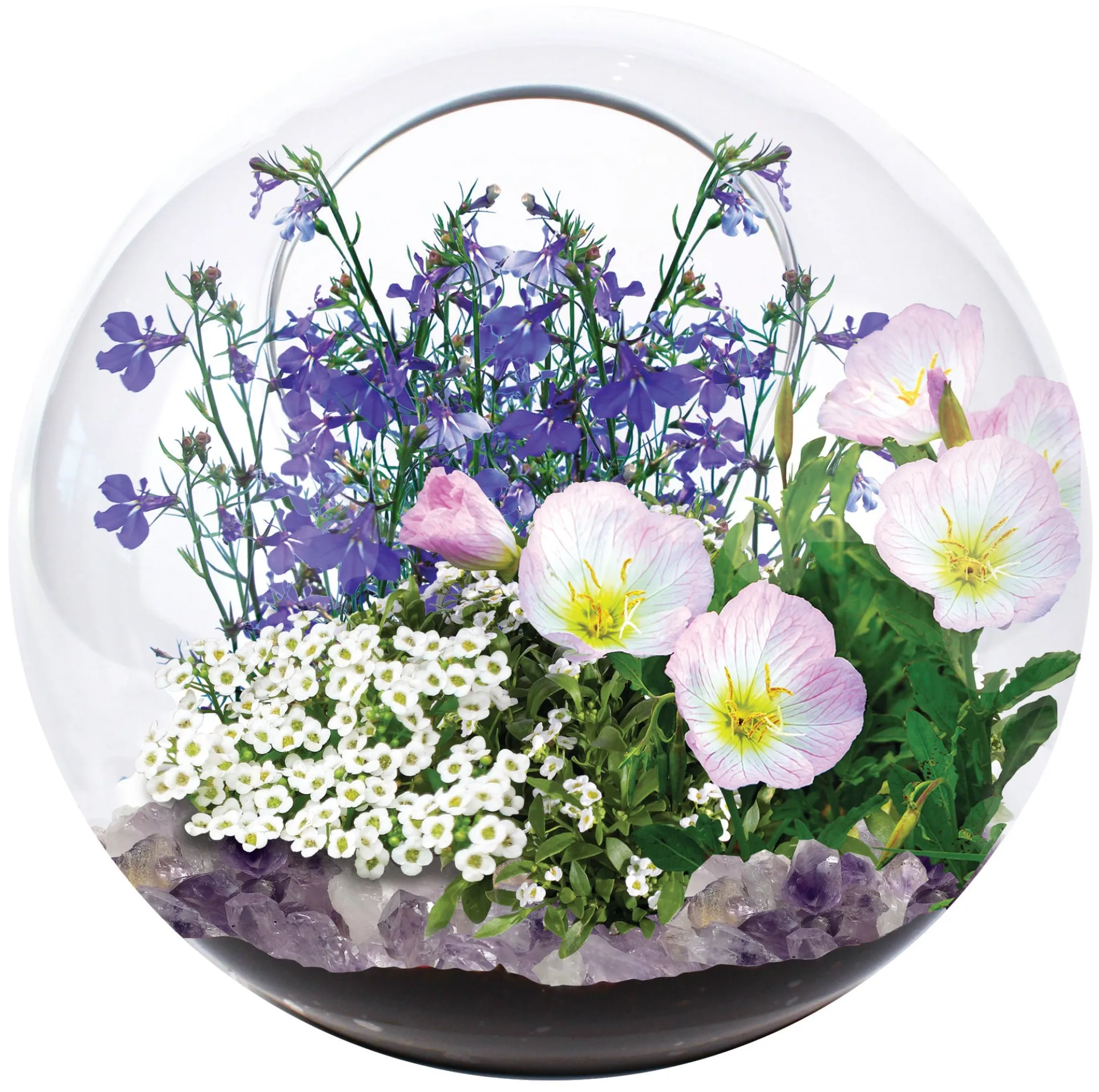 Enchanted Garden Mini Fairy Triad Glass Terrarium Kit