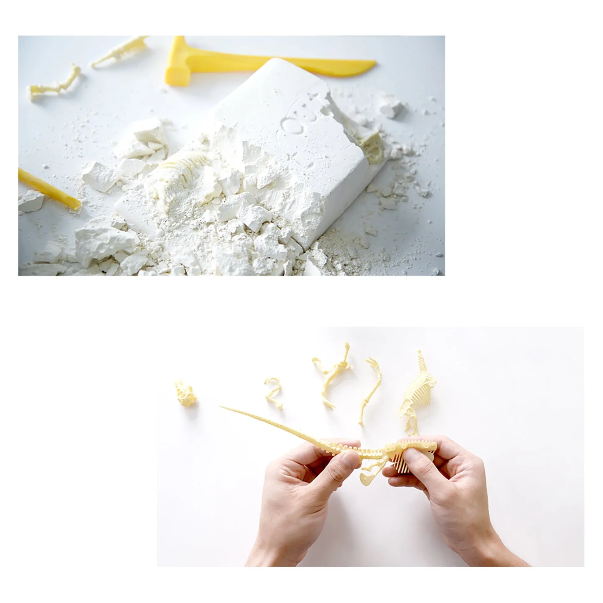 HamiltonBuhl Paleo Hunter Dig Kit - Complete Dinosaur Excavation Set for STEAM Learning