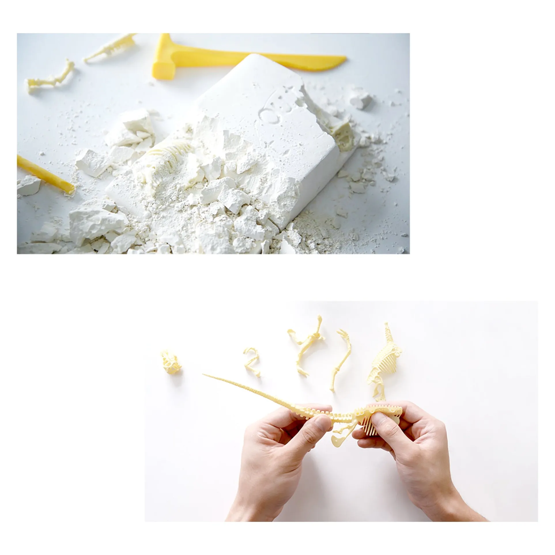 HamiltonBuhl Paleo Hunter T-Rex Dig Kit for STEAM Education