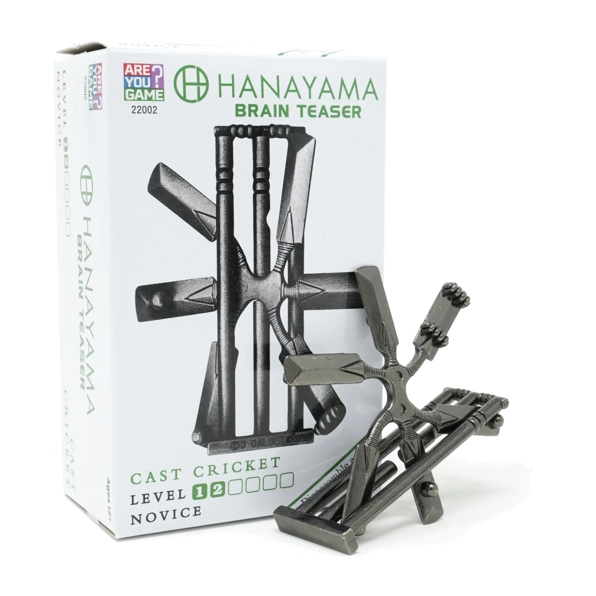 Hanayama Level 2 Cast Puzzle - Cricket Challenge