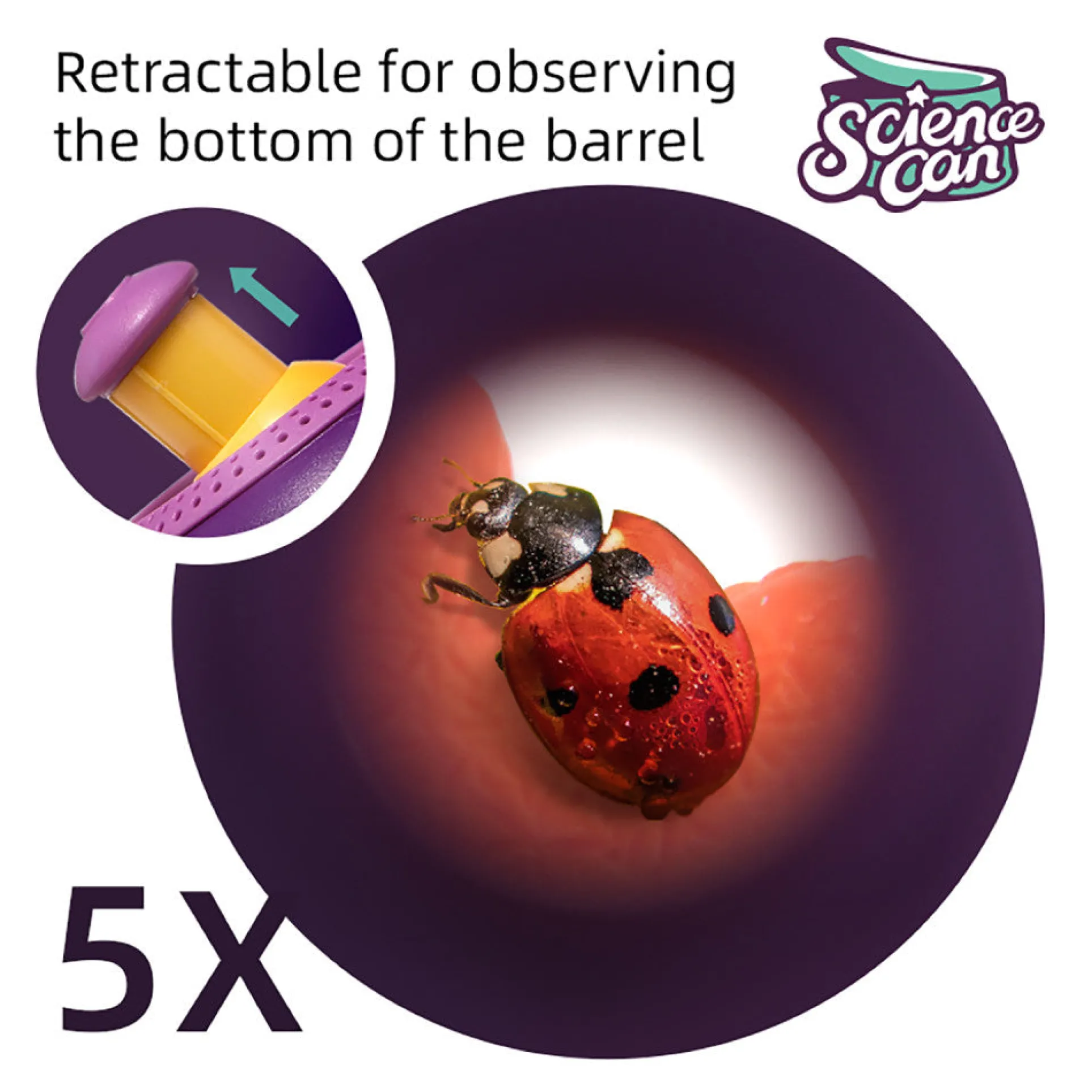 Hape Science Can Insect & Fish Viewer Life Sciences Exploration Kit