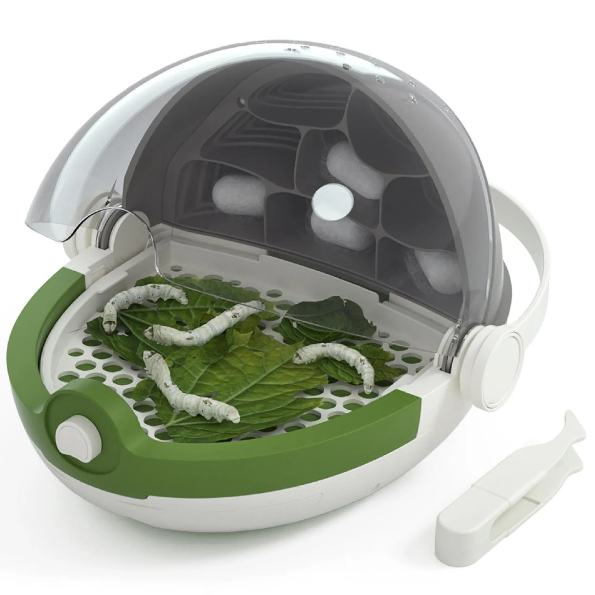 Hape Science Can Silkworm Growth Station Kit - Observe Lifecycle