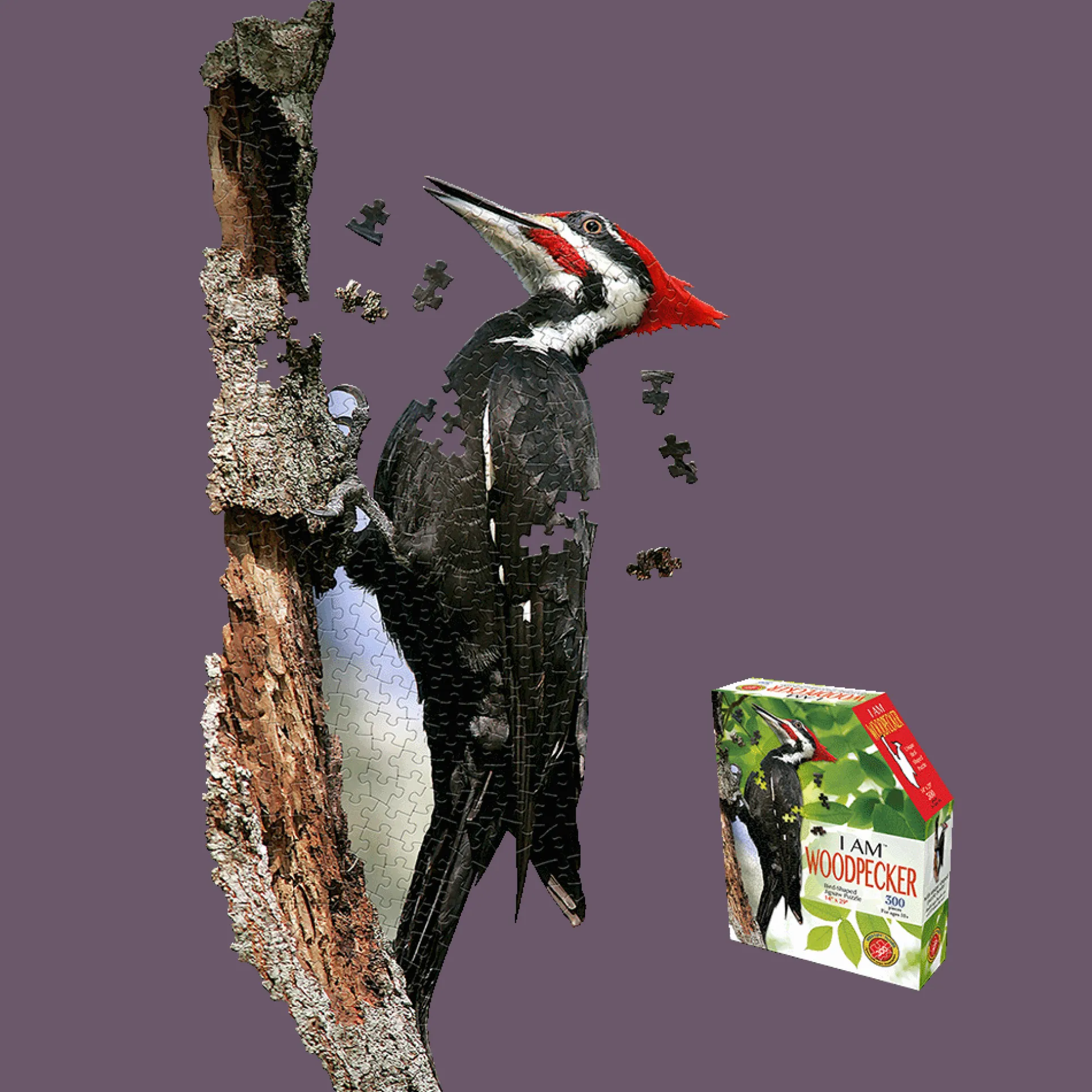 Madd Capp I AM Woodpecker - 300 pc Jigsaw Puzzle