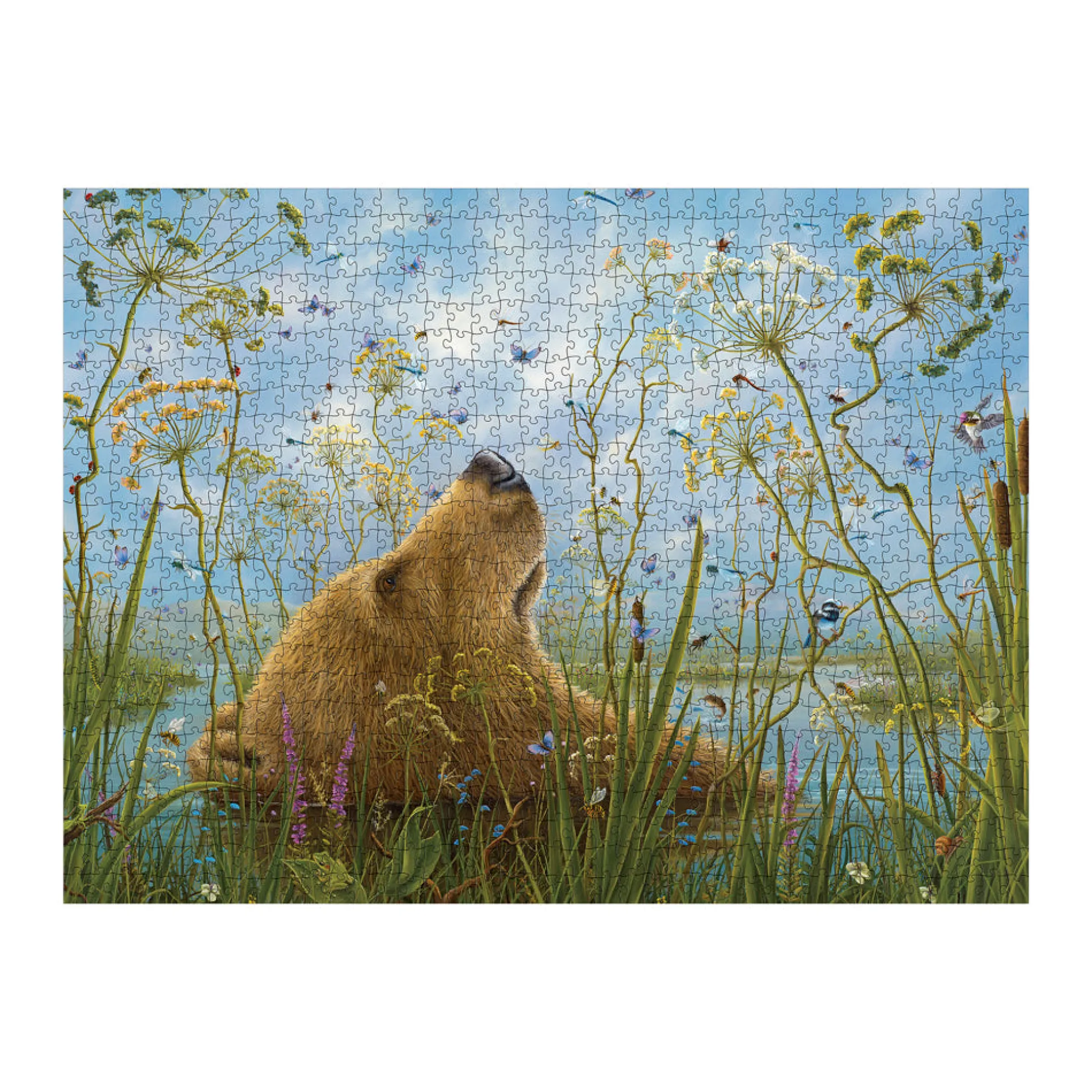 Robert Bissell The Whole World 1000-Piece Jigsaw Puzzle