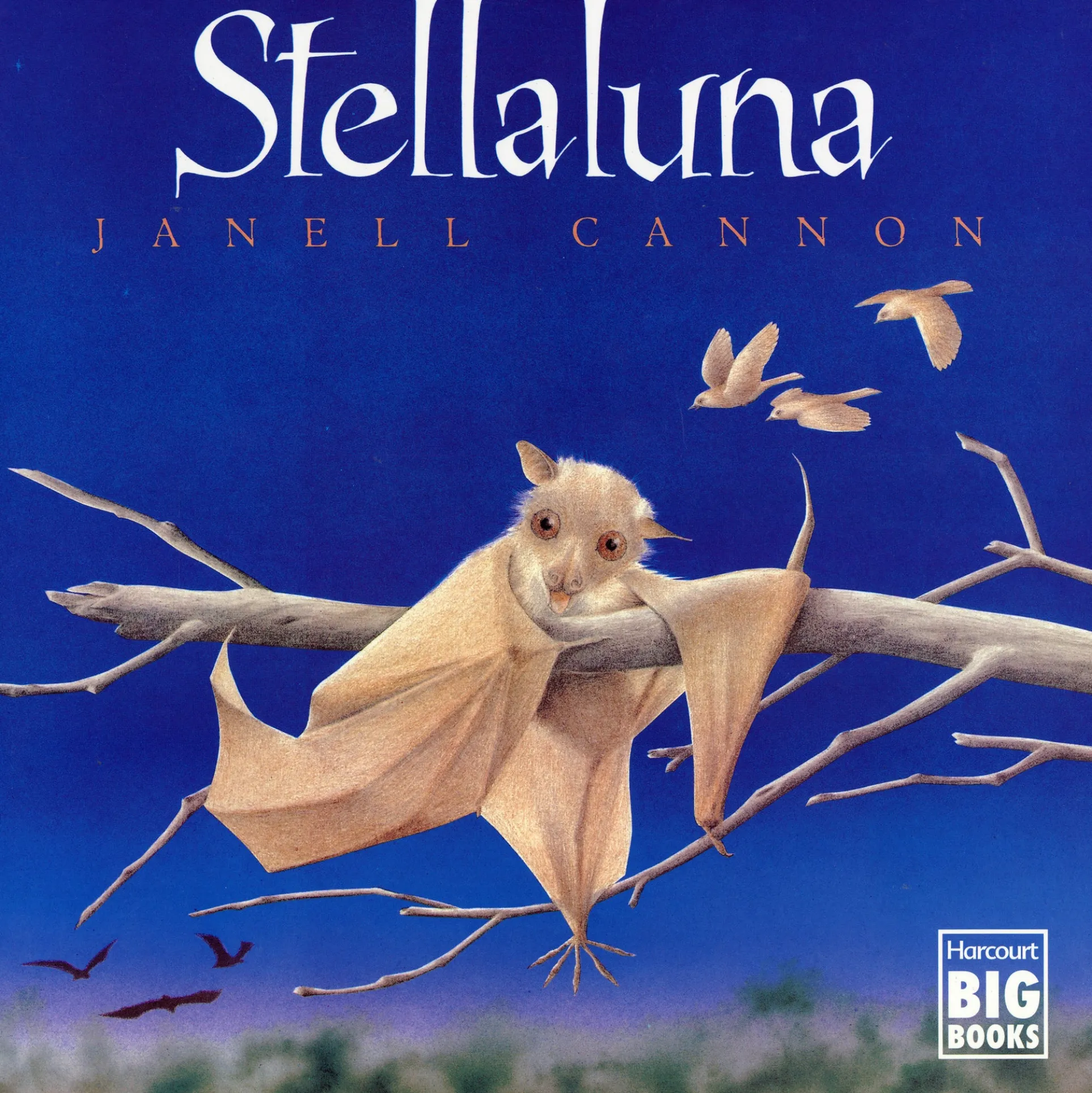 Stellaluna Big Book - Hardcover Edition by Janell Cannon