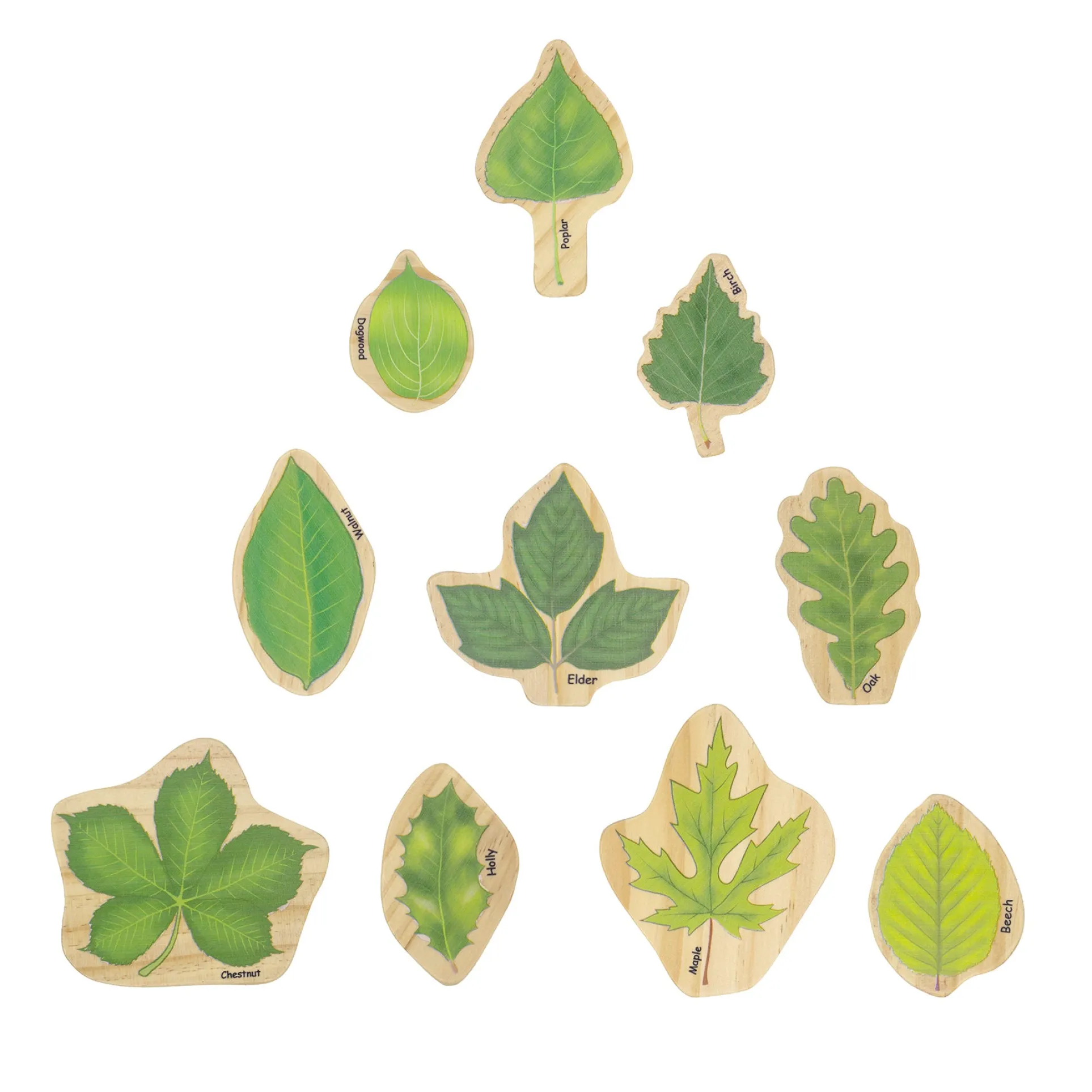 The Freckled Frog Stacking Leaves - Educational Wooden Block Set