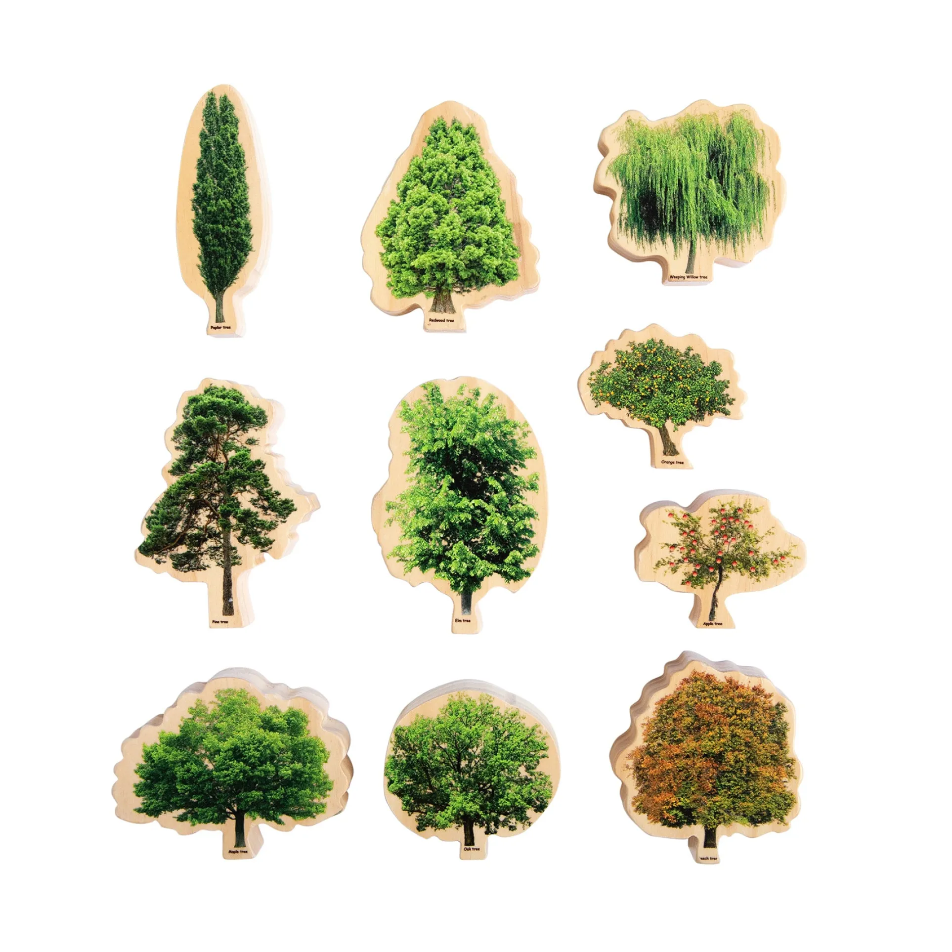 The Freckled Frog Seasons Wooden Trees - Educational Block Set