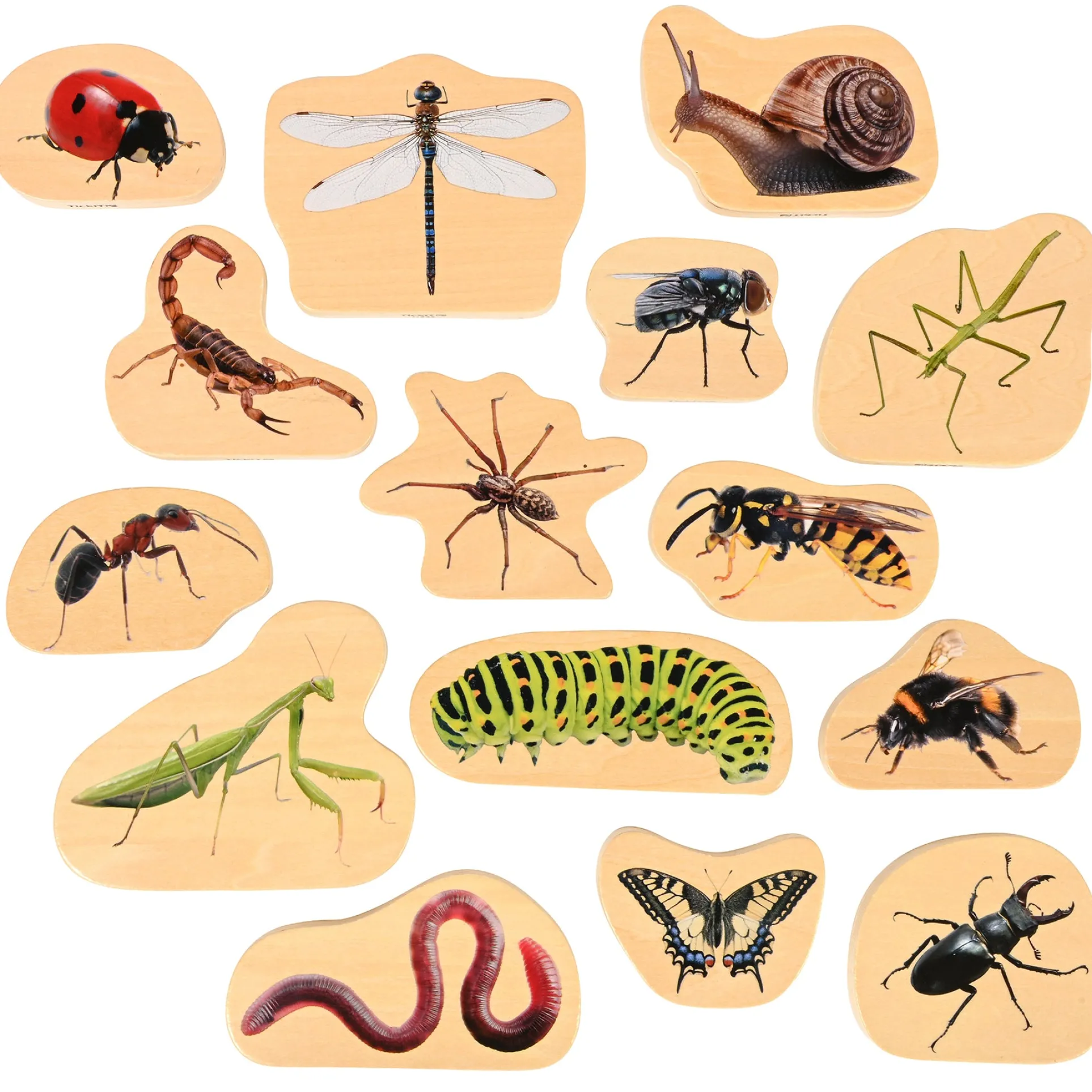 TickiT Wooden Minibeast Blocks – 15 Piece Learning Set