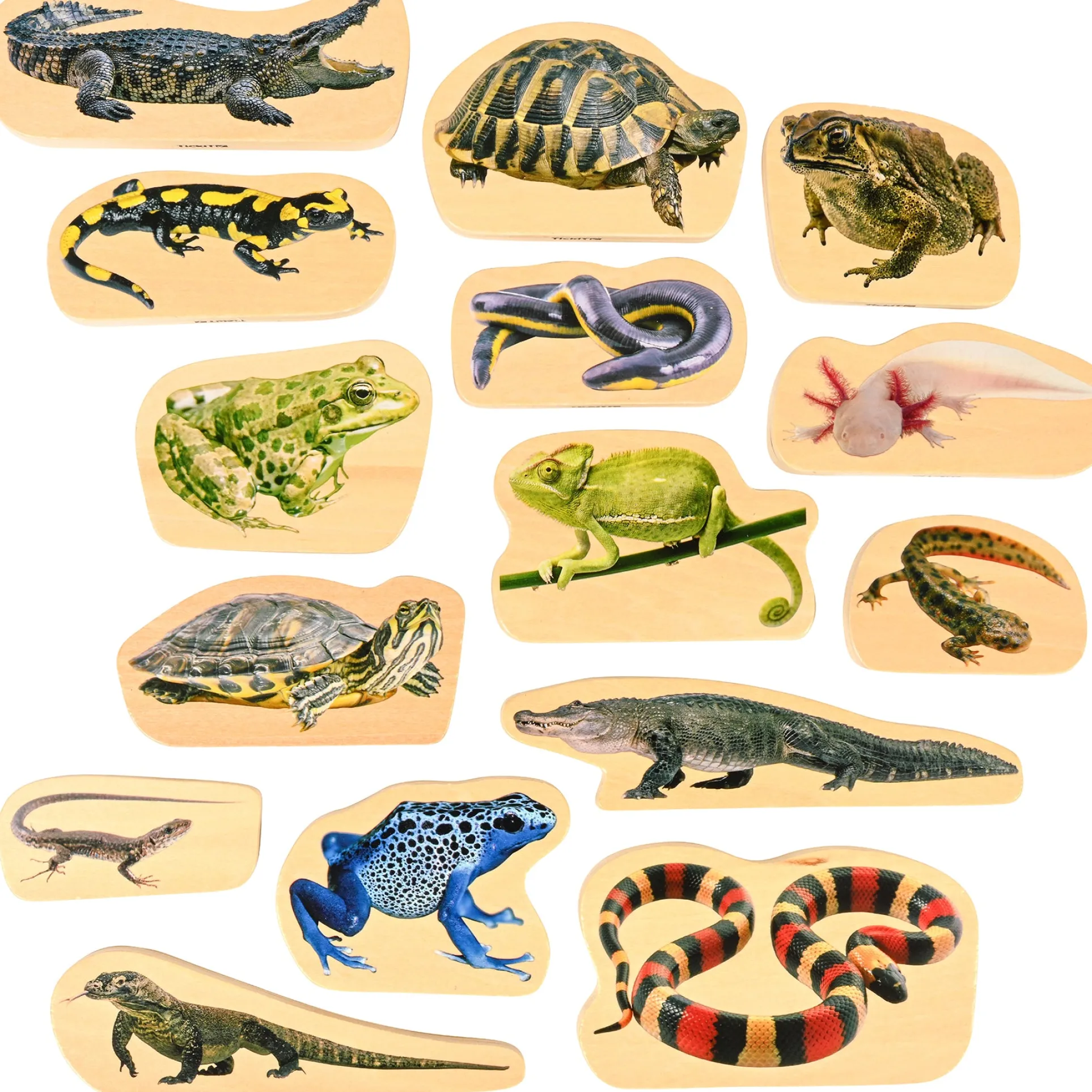 TickiT Wooden Reptile & Amphibian Blocks - 15-Piece Set