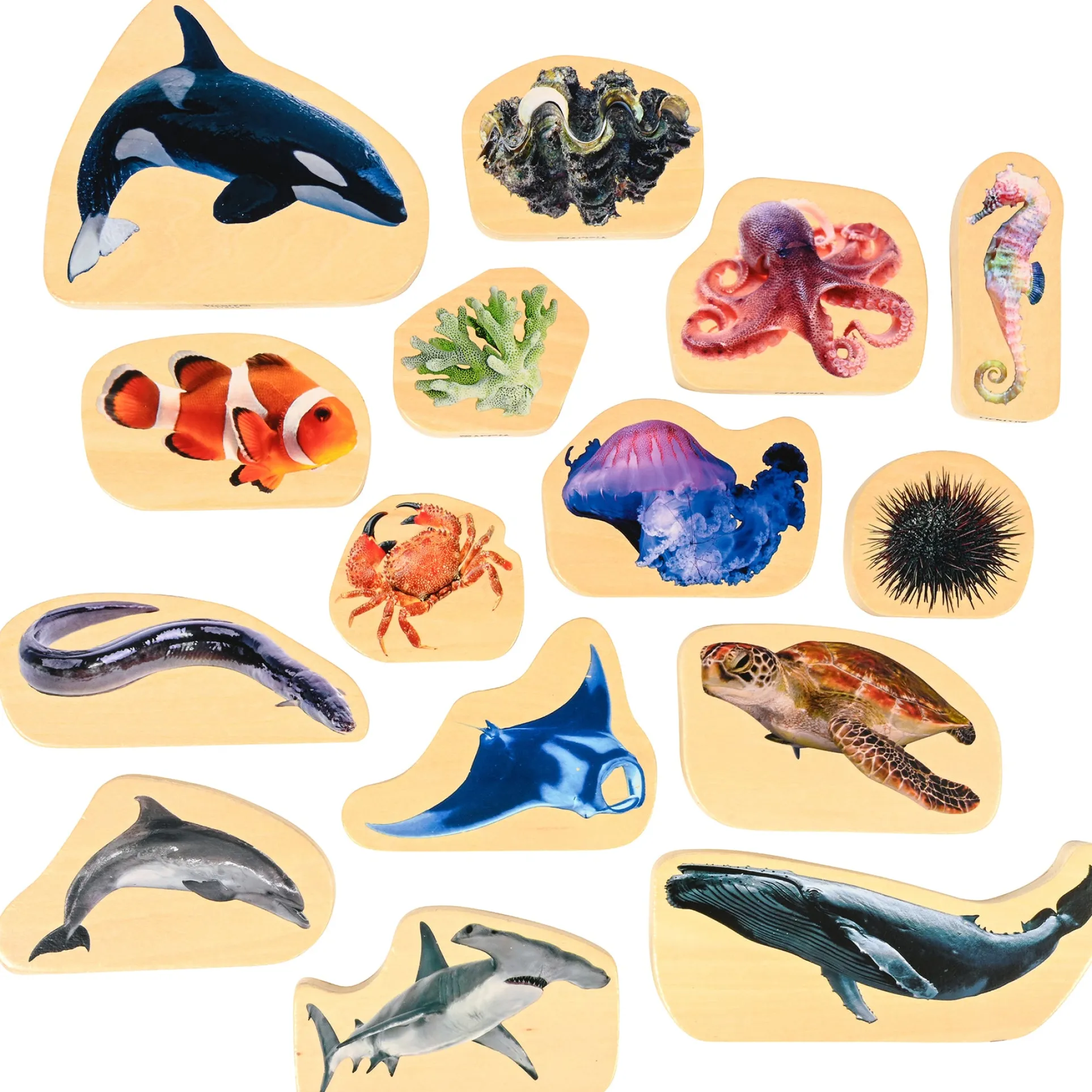 TickiT Wooden Sea Life Blocks - Colorful Marine Exploration Set of 15