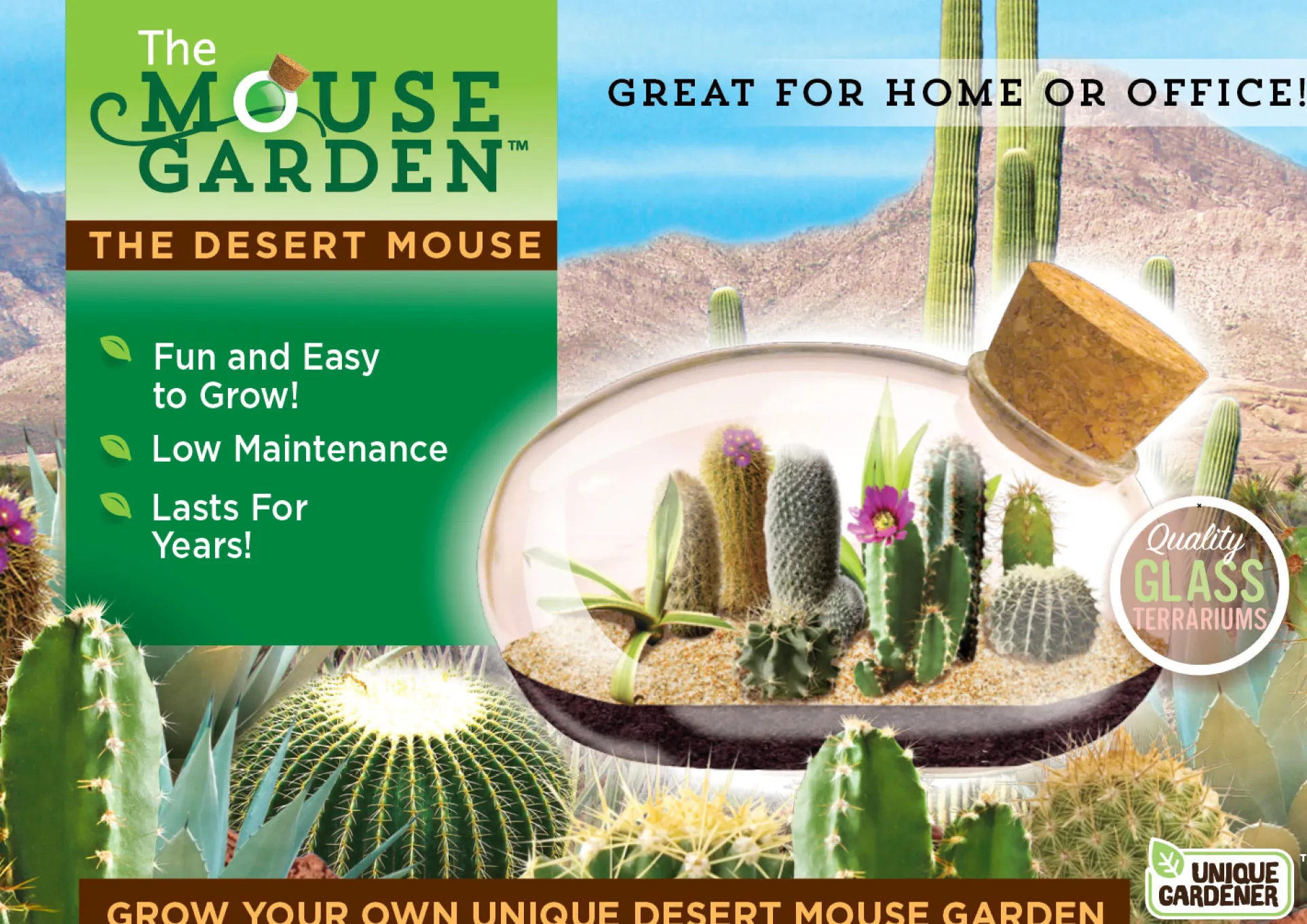 Toys R Us Desert Mouse Cacti Terrarium Kit