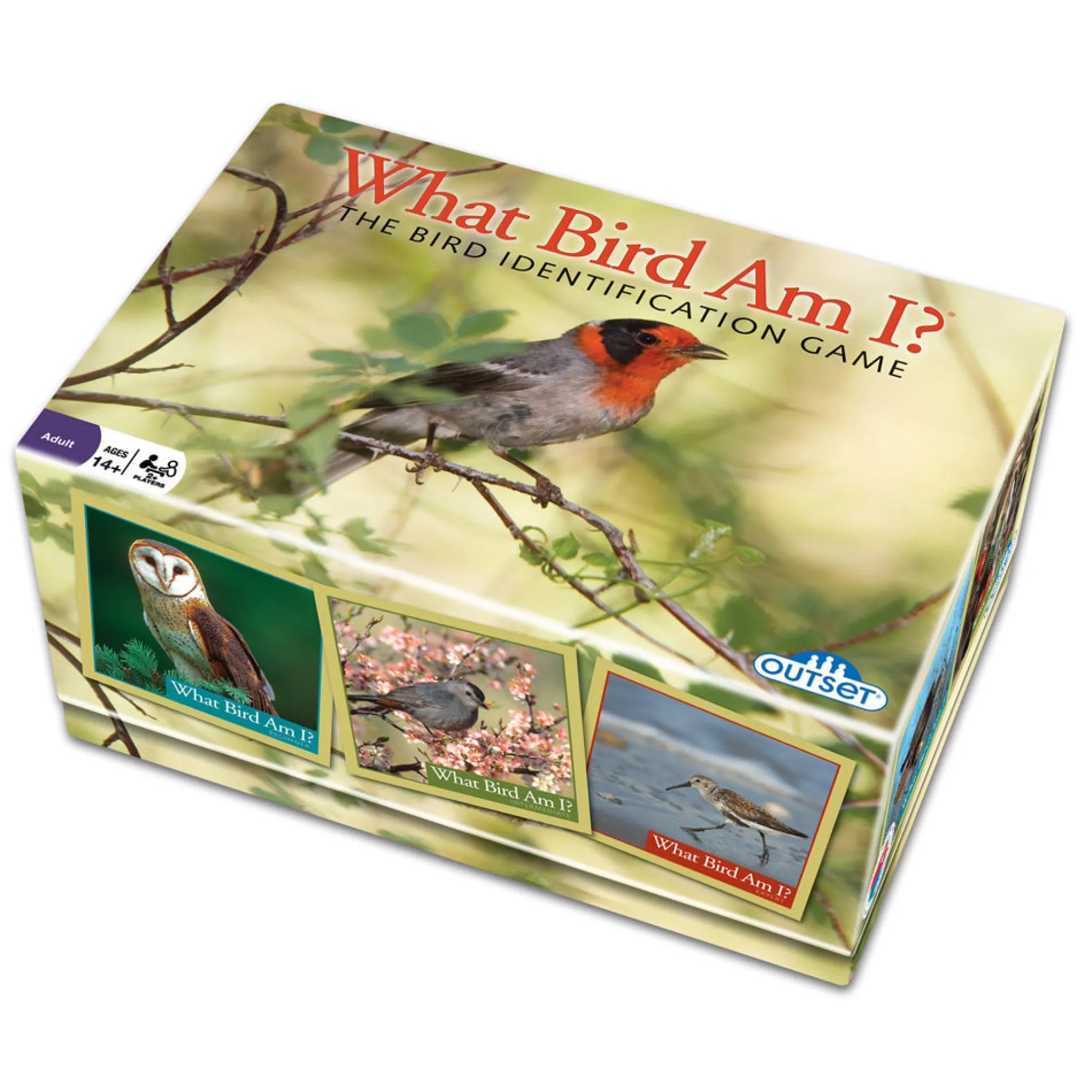 What Bird Am I? Bird Identification Strategy Game