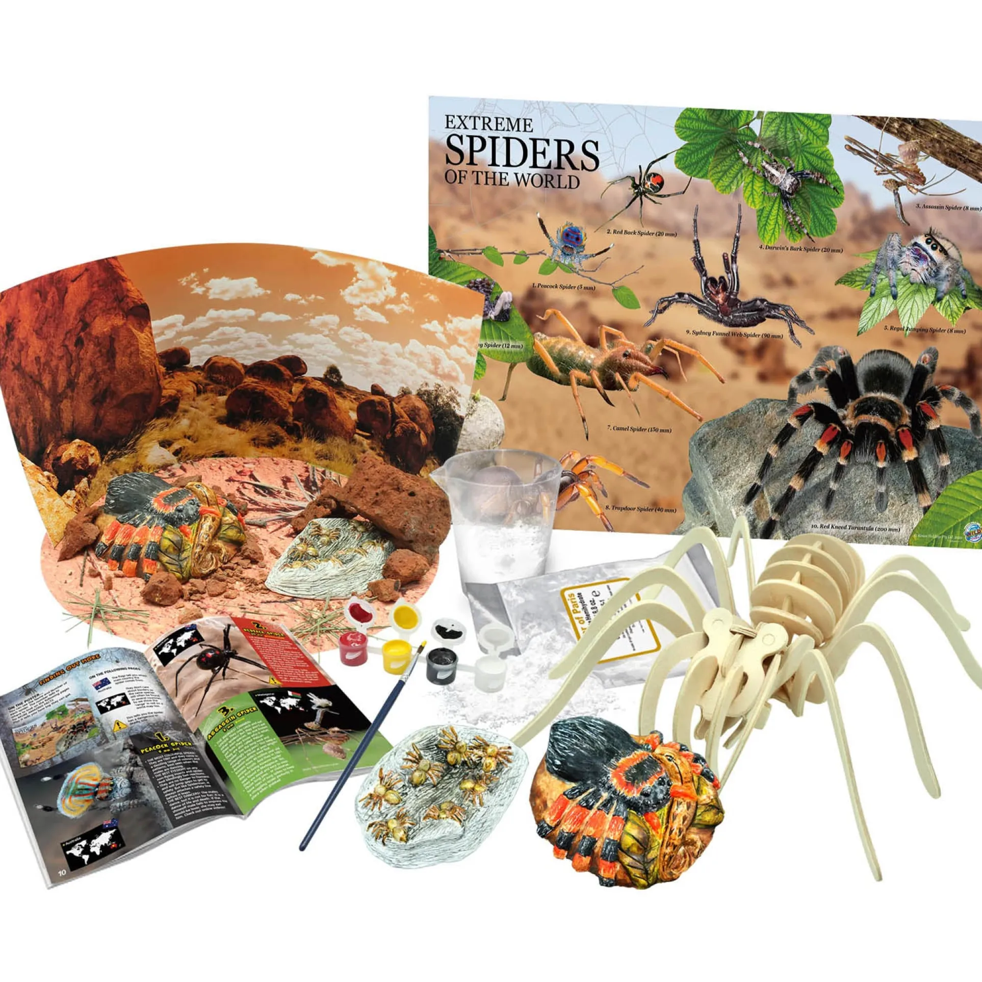 Wild Environmental Science Extreme Spiders Kit - Educational Spider Model Set