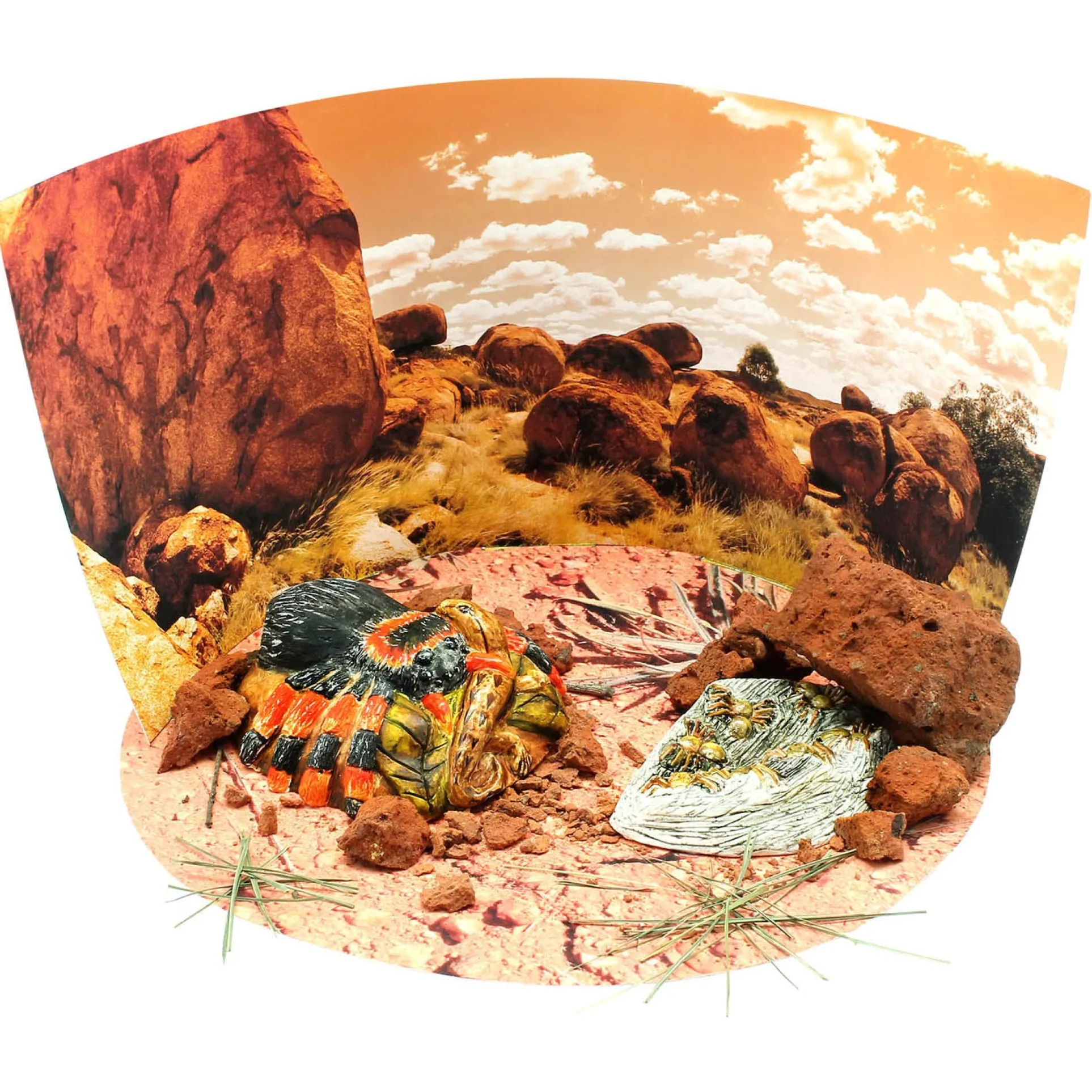 Wild Environmental Science Extreme Spiders Kit - Educational Spider Model Set