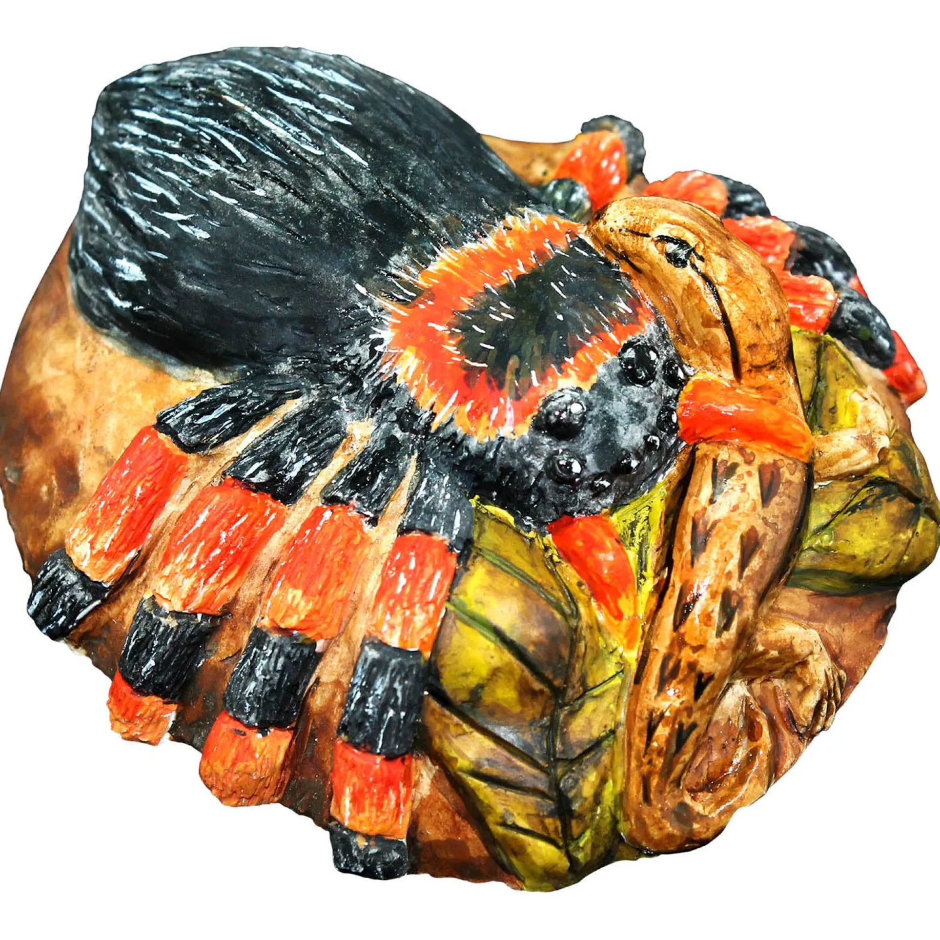 Wild Environmental Science Extreme Spiders Kit - Educational Spider Model Set