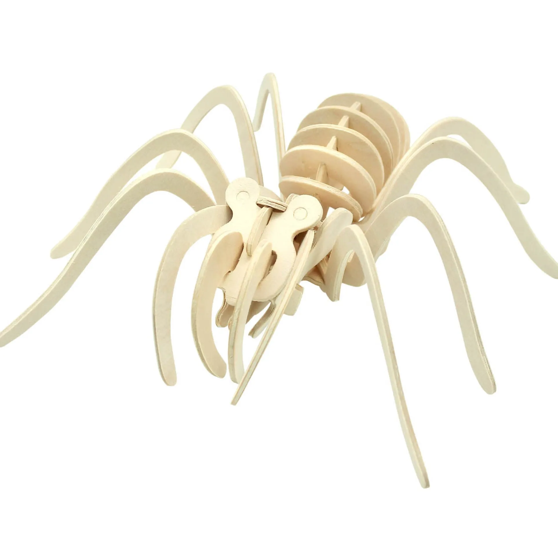 Wild Environmental Science Extreme Spiders Kit - Educational Spider Model Set