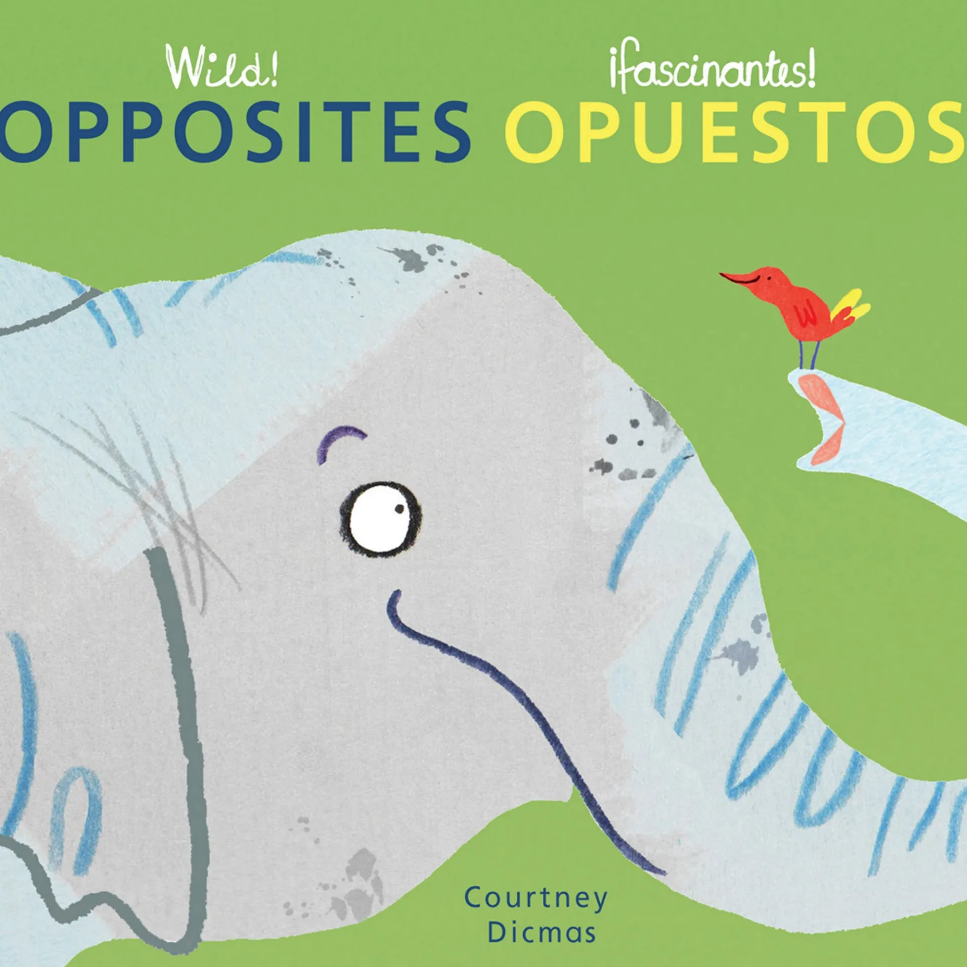 Wild! Concepts Bilingual Board Book Set by Courtney Dicmas, Set of 4