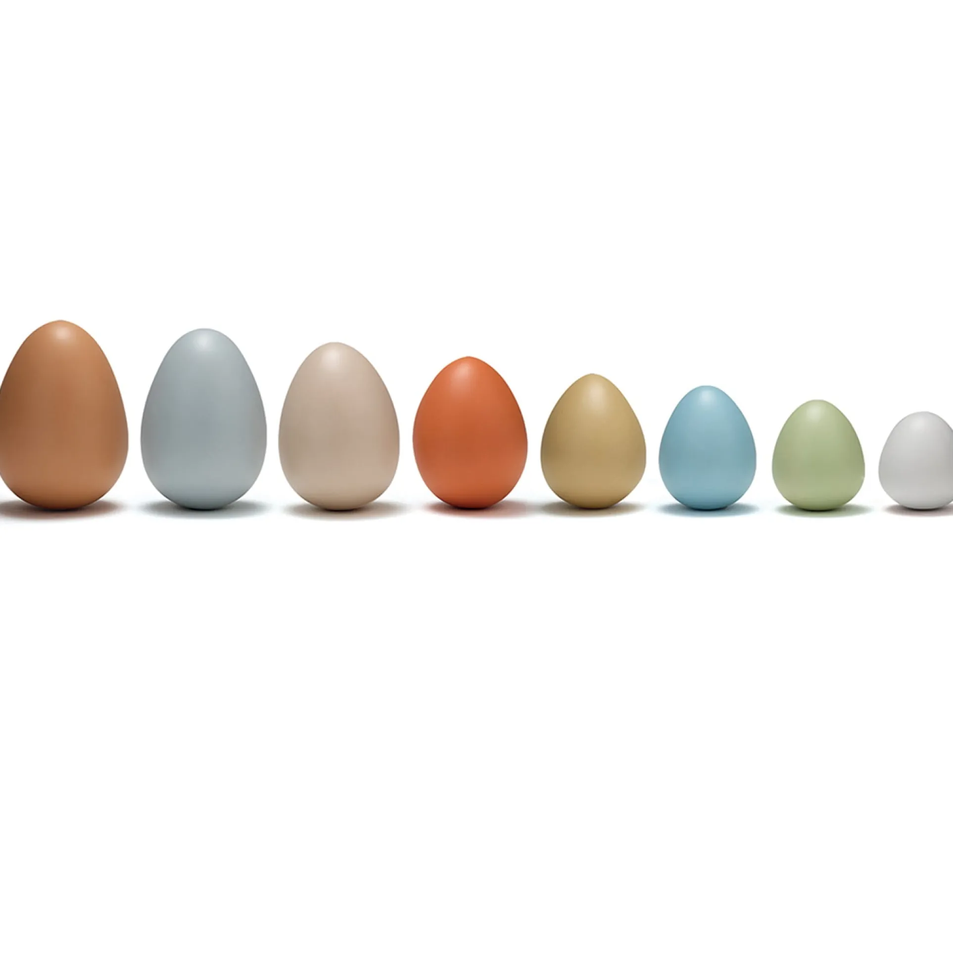 Yellow Door Educational Size-Sorting Eggs - Set of 8 - Multicolor